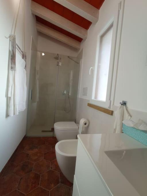 La Casina Di Campagna Tra Cecina E Bibbona Villa Exteriör bild