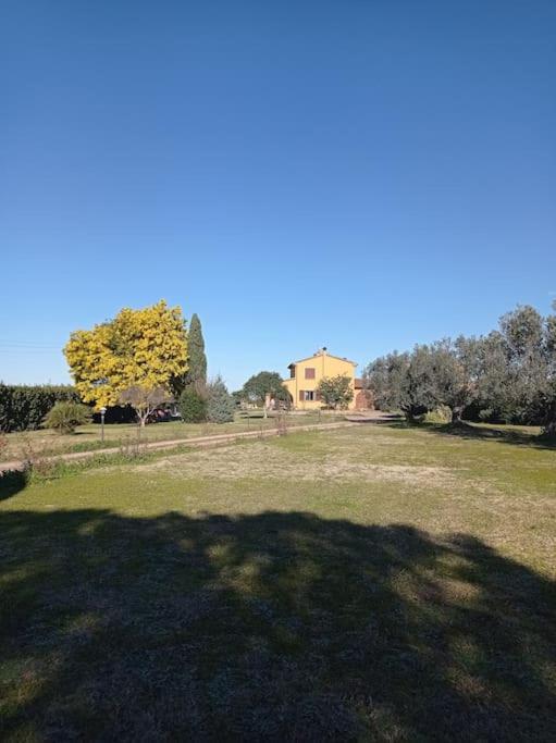 La Casina Di Campagna Tra Cecina E Bibbona Villa Exteriör bild