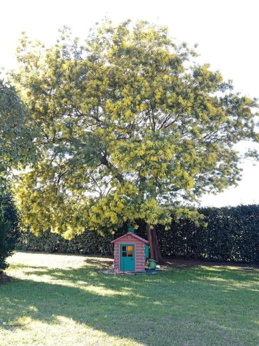 La Casina Di Campagna Tra Cecina E Bibbona Villa Exteriör bild