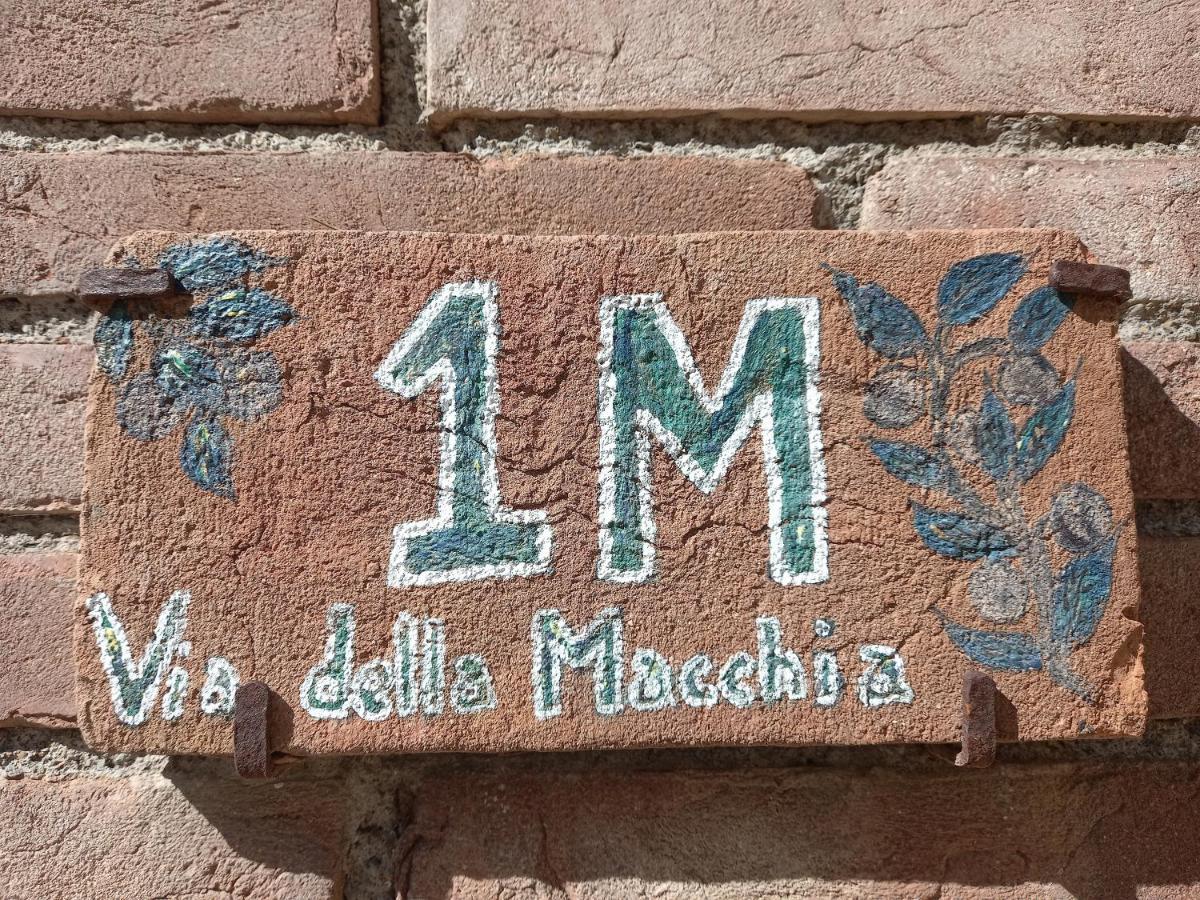La Casina Di Campagna Tra Cecina E Bibbona Villa Exteriör bild