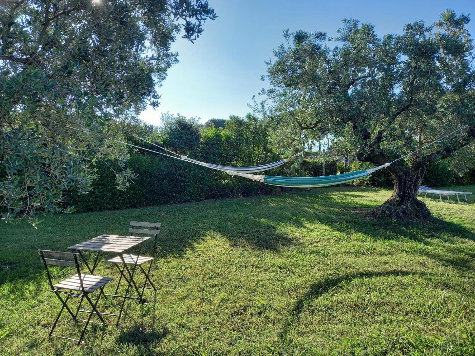La Casina Di Campagna Tra Cecina E Bibbona Villa Exteriör bild