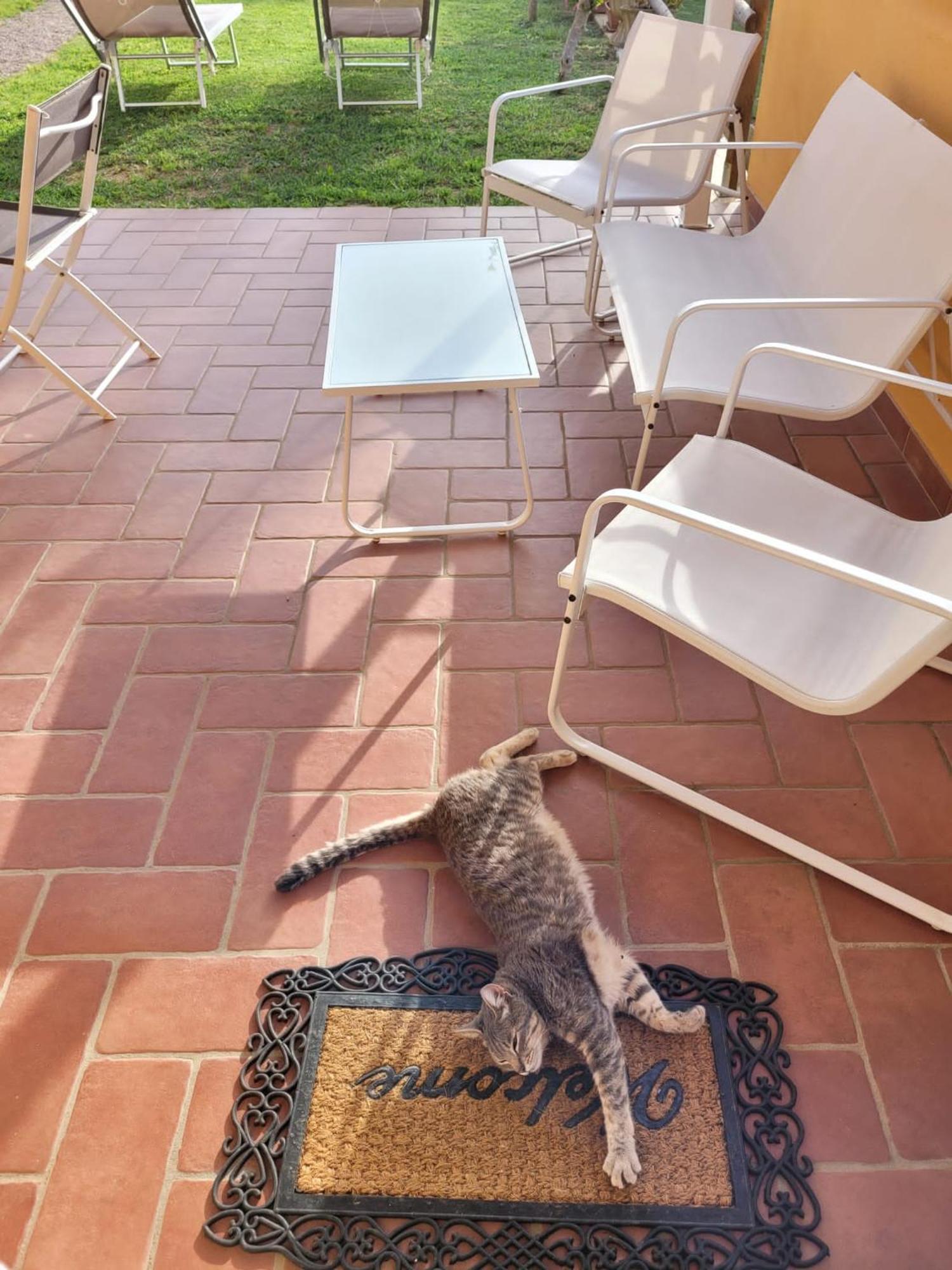 La Casina Di Campagna Tra Cecina E Bibbona Villa Exteriör bild